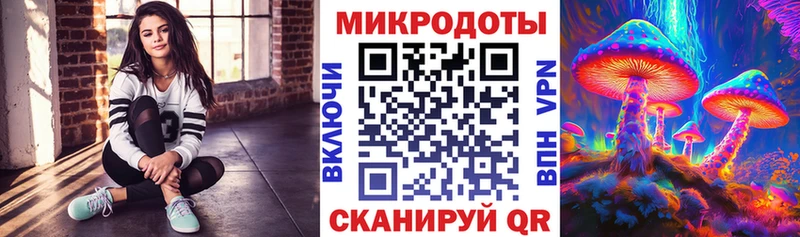 Галлюциногенные грибы Psilocybe  где продают наркотики  сайты даркнета формула  Нолинск 